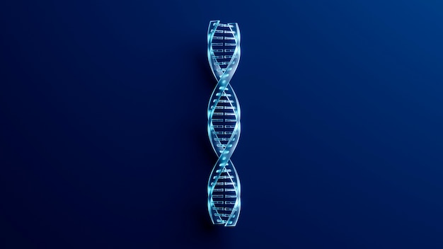 DNA-Repräsentationskonzept