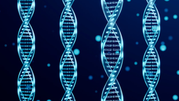 DNA-Repräsentationskonzept