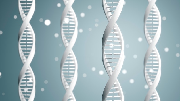 DNA-Repräsentationskonzept