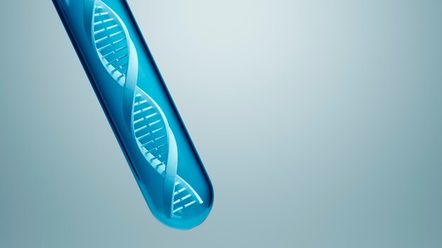 DNA-Repräsentationskonzept