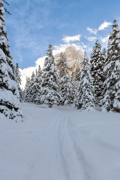 Dolomiten