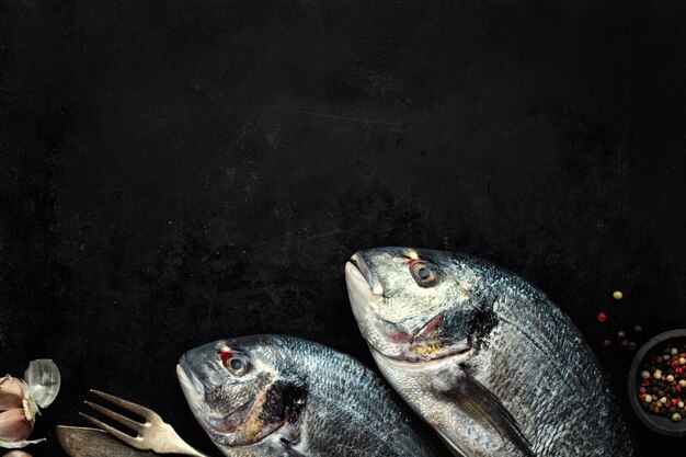 Dorado Fisch mit Zutaten auf dunkel