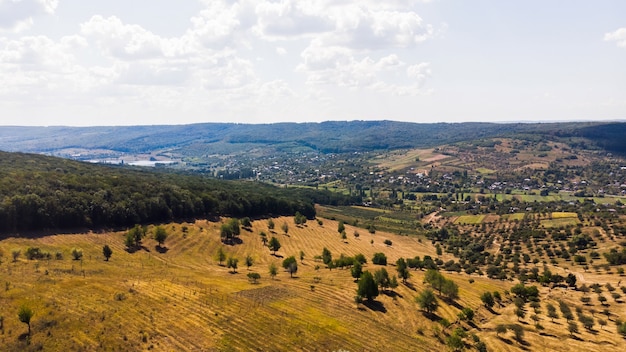 Dorf im Flachland, seltene Dreier und Wald im Vordergrund mit Hügeln