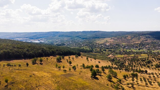 Dorf im Flachland, seltene Dreier und Wald im Vordergrund mit Hügeln