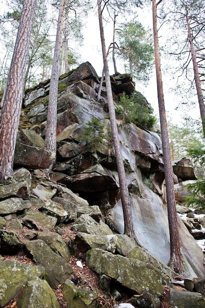 Dovbush-Felsen im grünen Wald in den Karpaten