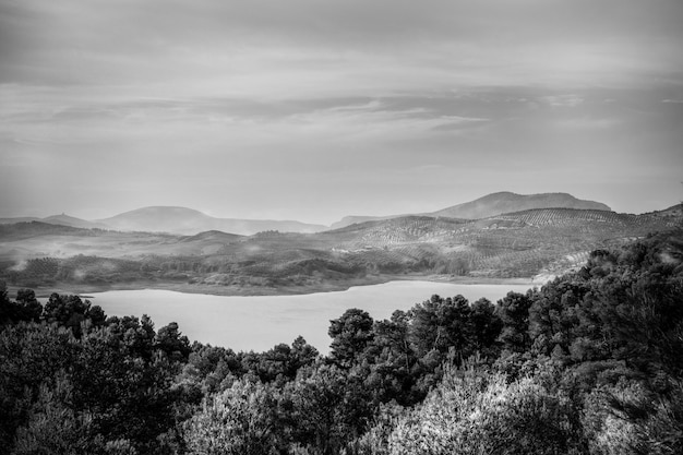 Dramatische Schwarz-Weiß-Landschaft mit Bäumen