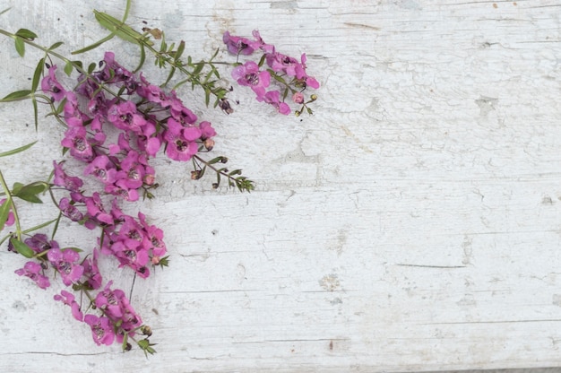 Draufsicht auf beschädigte Holzoberfläche mit niedlichen Blumen