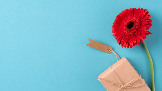 Draufsicht auf Blume mit Geschenk und Anhänger gift