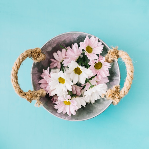 Kostenloses Foto draufsicht auf blumen im eimer