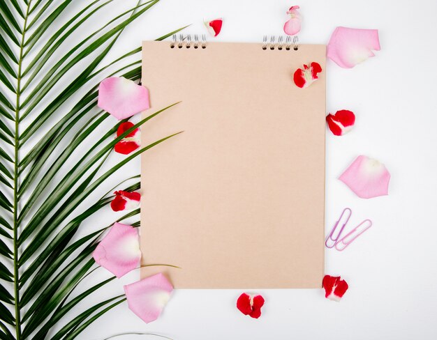Draufsicht auf ein Skizzenbuch und Büroklammern mit einem Palmblatt und Rosenblütenblättern verstreut auf weißem Hintergrund