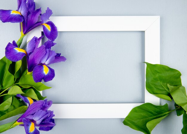 Draufsicht auf einen leeren Bilderrahmen mit dunkelvioletten Irisblumen lokalisiert auf weißem Hintergrund mit Kopienraum