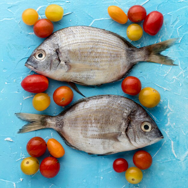 Draufsicht auf Fischpaar mit Tomaten
