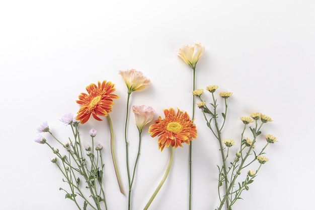 Draufsicht auf frische Blumen isoliert auf einer weißen Wand