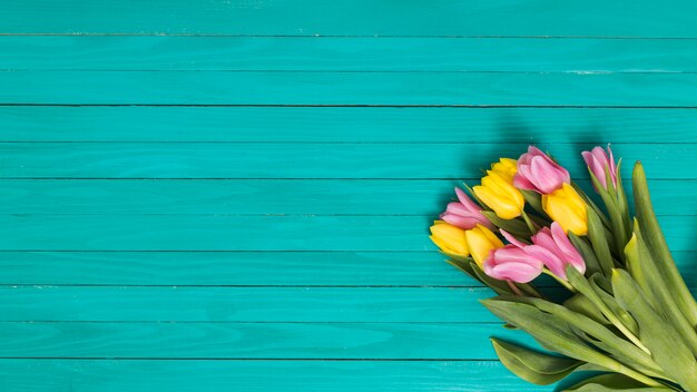 Draufsicht auf Gelb; rosa Tulpenblumen über grünem hölzernem Schreibtisch