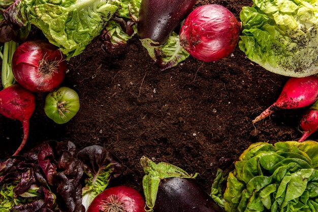 Draufsicht auf Gemüse mit Salat und Auberginen