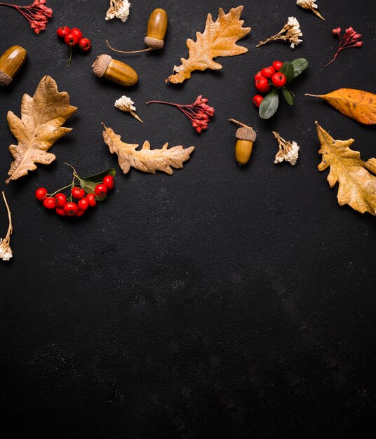 Draufsicht auf Herbstelemente mit Kopierraum