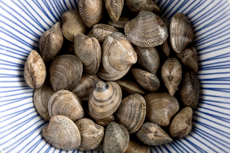 Kostenlose Foto draufsicht auf muscheln auf teller