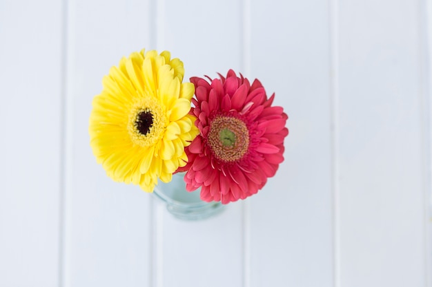 Draufsicht auf rosa und gelben Blumen