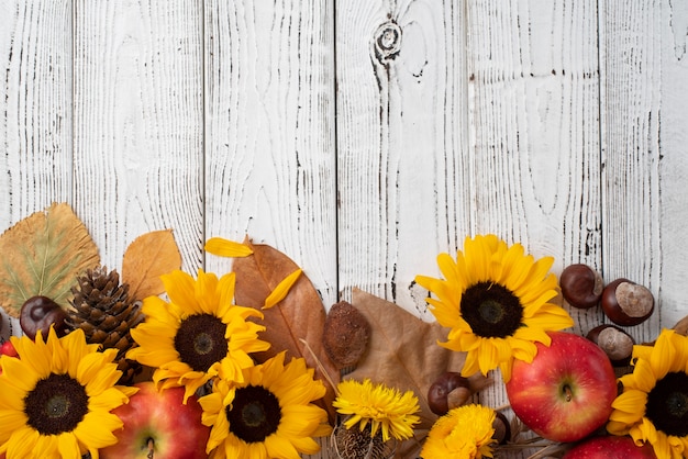 Draufsicht auf Sonnenblumenrahmen mit Äpfeln