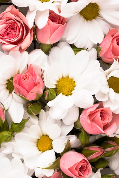 Kostenloses Foto draufsicht auf wunderschön gefärbte blumen