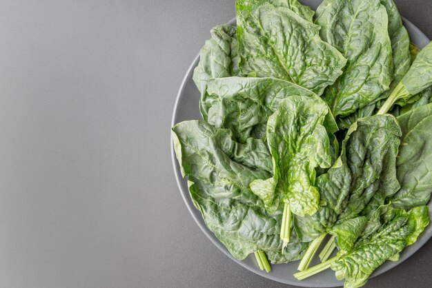 Draufsicht Bio-Salatsalat mit Kopierraum