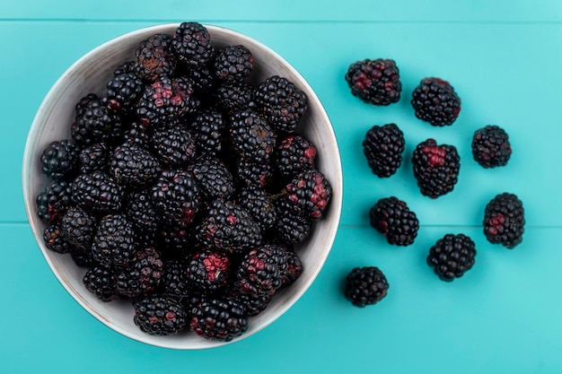 Kostenloses Foto draufsicht der brombeere in einer schüssel auf einer hellblauen oberfläche