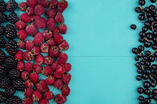 Draufsicht der Brombeere mit Himbeeren und schwarzen Johannisbeeren auf einer hellblauen Oberfläche