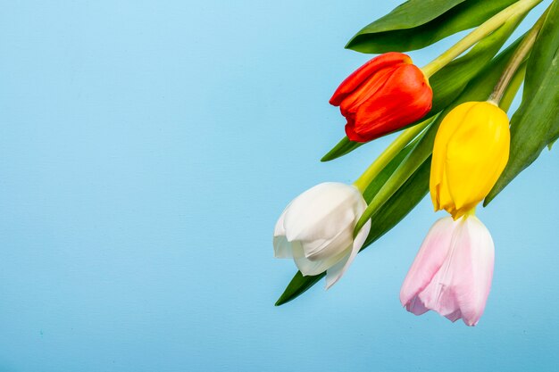 Draufsicht der bunten Tulpen lokalisiert auf blauem Tisch mit Kopienraum