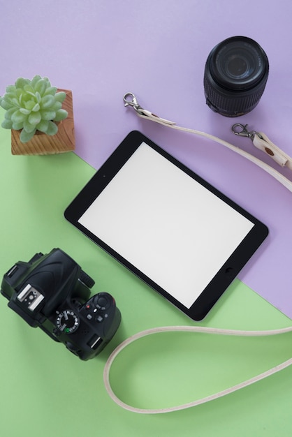 Draufsicht der digitalen Tablette mit leerem Bildschirm; Kamera; Kameraobjektiv; Gürtel und Sukkulente über doppelten Hintergrund