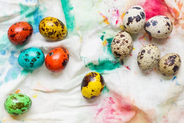 Draufsicht der farbigen Eier für Ostern