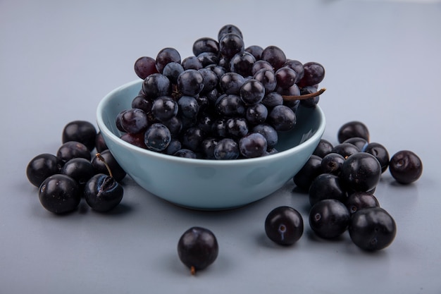 Draufsicht der frischen Trauben des frischen und süßen Geschmacks auf einer blauen Schüssel auf einem grauen Hintergrund