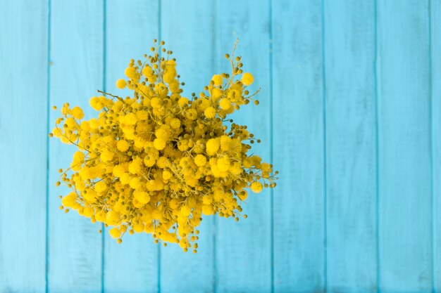 Draufsicht der gelben Blüten mit blauem Hintergrund