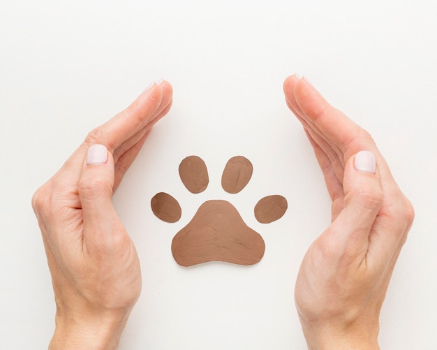Draufsicht der Hände, die Pfotenabdruck für Tiertag schützen