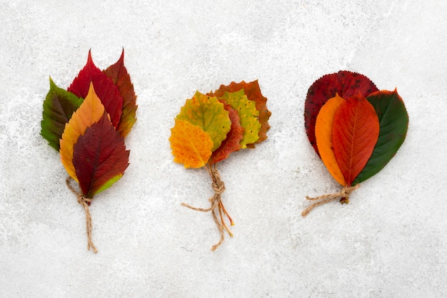 Draufsicht der Herbststräuße der Blätter mit Schnur