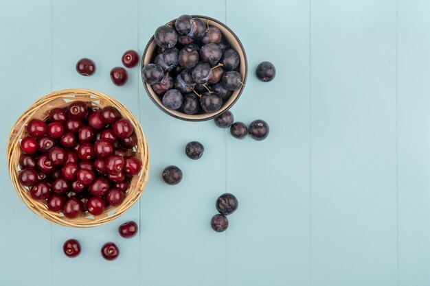 Draufsicht der kleinen sauren blau-schwarzen Schlehen auf einer Schüssel mit appetitlichen roten Kirschen auf einem Eimer auf einem blauen Hintergrund