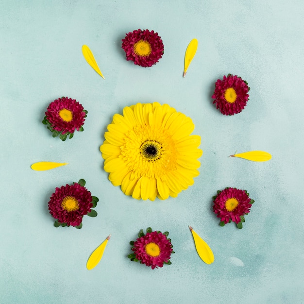 Kostenloses Foto draufsicht der netten anordnung der sonnenblume und der gänseblümchen