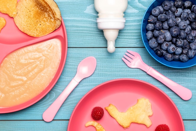 Draufsicht der Platte mit Babynahrung und Blaubeeren