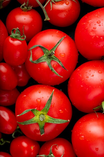 Draufsicht der reifen frischen Tomaten mit Wassertropfen auf schwarzem Hintergrund