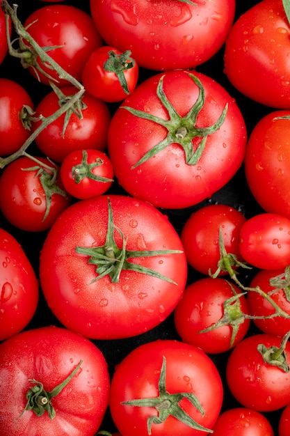 Draufsicht der reifen frischen Tomaten mit Wassertropfen auf schwarzem Hintergrund