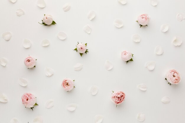 Draufsicht der Rosen- und Blumenblattanordnung
