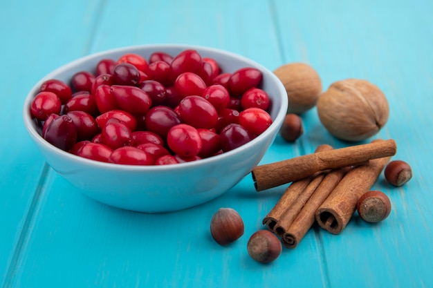 Draufsicht der roten Kornelkirschenbeeren auf einer Schüssel mit Zimtstangen und Nüssen auf einem blauen hölzernen Hintergrund