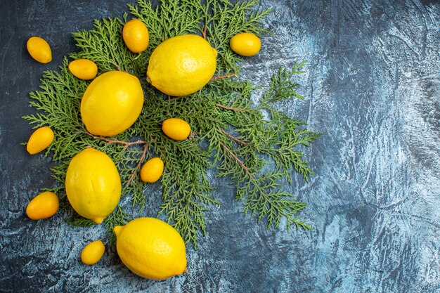 Draufsicht der Sammlung natürlicher organischer frischer Zitrusfrüchte auf Tannenzweigen auf dunklem Hintergrund