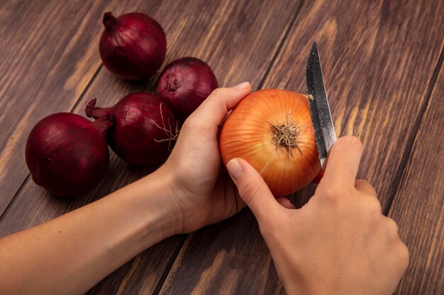 Draufsicht der weiblichen Hände, die eine gelbe Zwiebel mit Messer mit roten Zwiebeln schneiden, die auf einer Holzwand lokalisiert werden