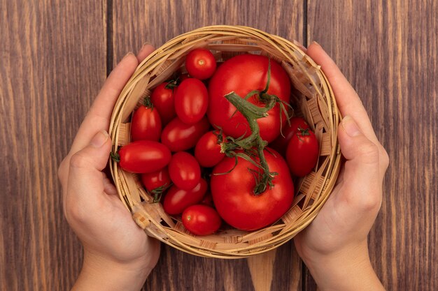 Draufsicht der weiblichen Hände, die einen Eimer der frischen Tomaten auf einer hölzernen Oberfläche halten