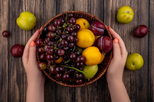 Draufsicht der weiblichen Hände, die Korb der Früchte als Trauben-Aprikosen-Pluot auf hölzernem Hintergrund halten