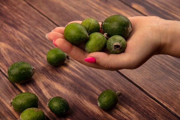 Draufsicht der weiblichen Hand, die eine gesunde Feijoa mit Feijoas lokalisiert auf einer Holzwand hält