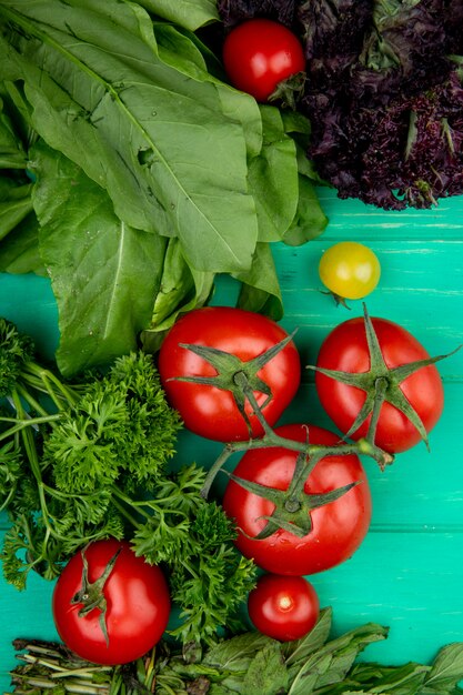 Draufsicht des Gemüses als grüne Minze verlässt Tomatenbasilikum auf grüner Oberfläche