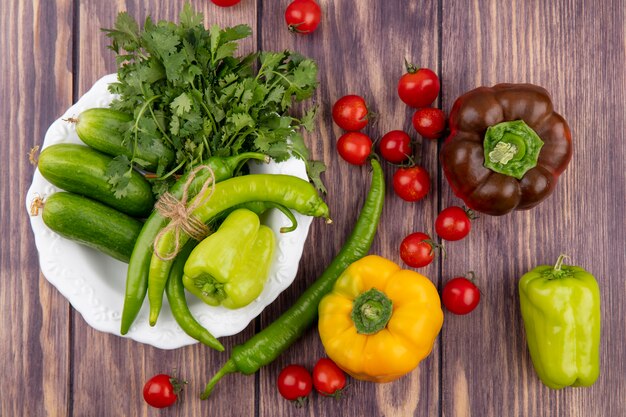 Draufsicht des Gemüses als Pfefferkoriandergurke in Platte mit Tomaten auf Holzoberfläche