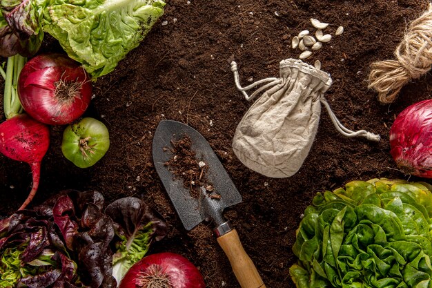 Draufsicht des Gemüses mit Salat und Werkzeug