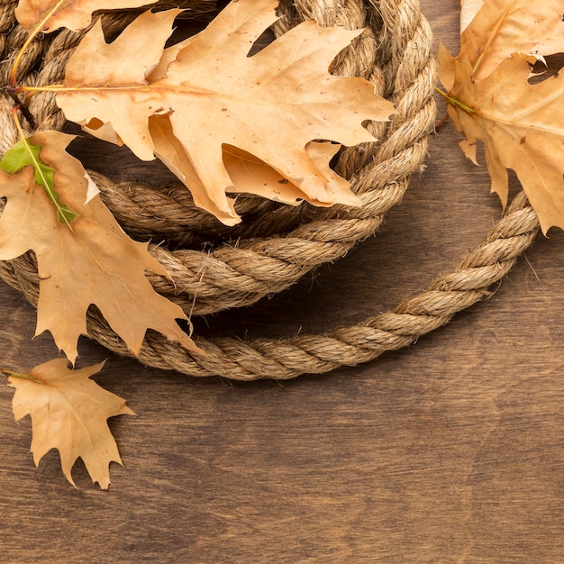 Draufsicht des Herbstlaubs mit Seil